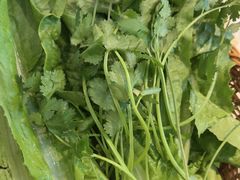 -陈大锅·岳阳鱼馆·地道岳阳菜(美食街店)