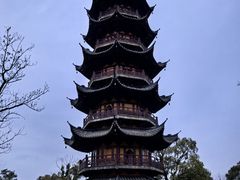 -龙华素斋(龙华路店)