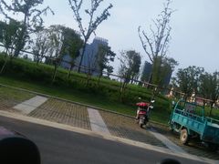 -大丰图书馆