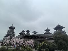 -老凯俚酸汤鱼(多彩城店)