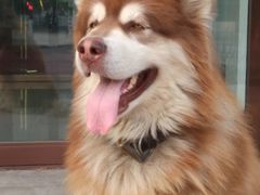 -馋嘴猫•北京食堂•宵夜(亚运村店)