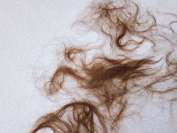 -SalonRivelin 沙龙瑞菱
