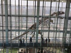 -吉林省自然博物馆