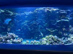 -欢乐海岸海洋奇梦馆