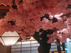 -九田家黑牛烤肉料理(宽城万达店)
