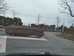 -广富林郊野公园