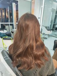 -东方麒麟·潘多拉SALON
