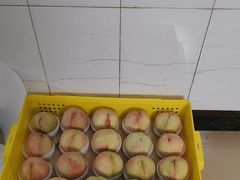 -老袁家蜜桃农场·阳山水蜜桃