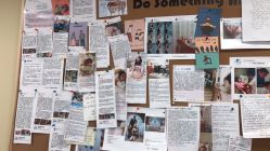 -杭州贝瑞斯美华妇儿医院·早孕·产检·儿科