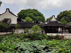 -上海醉白池公园