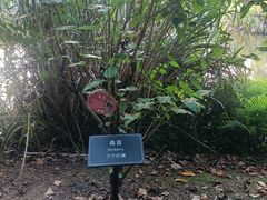 -厦门悦华酒店