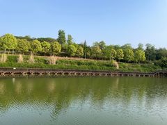 -白鹭湾湿地公园