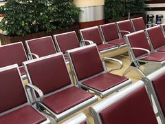 -上海中医药大学附属曙光医院(东部)