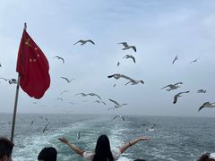 -海驴岛(荣成市)