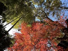 -灵隐飞来峰景区