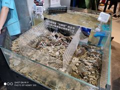 -盒马鲜生(皇庭广场店)