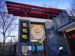 -莲花池公园
