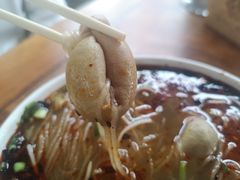-白家高记肥肠粉(总店)
