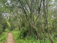 -盘龙城国家考古遗址公园