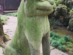 -天一阁博物院