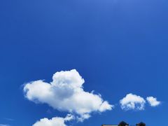 -仙岳公园