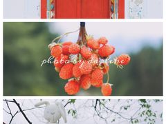 -硗碛藏寨·神木垒景区