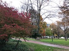 -宾夕法尼亚大学沃顿商学院