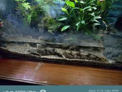 -太平洋海底世界