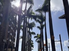 -三亚亚龙湾红树林度假酒店