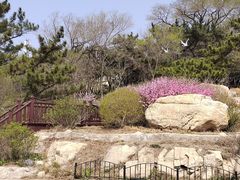 -老虎石海上公园