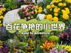 -南山植物园