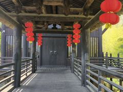 -大唐贡茶院