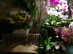 -春暖花开(西溪店)