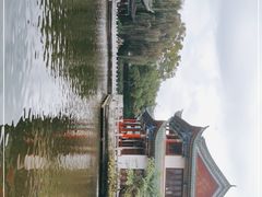 -MAP CHA普洱茶馆(翠湖店)