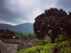 -帐篷客·溪龙茶谷度假酒店