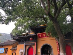 -宝岩生态观光园