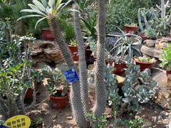 -国家植物园南园