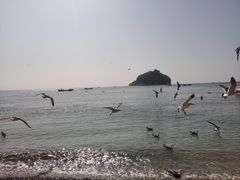 -棒棰岛宾馆景区