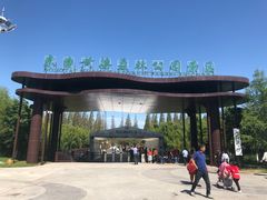 -黄海国家森林公园