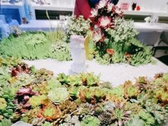 -春树下·树屋花房西餐厅(罍街AS1980店)