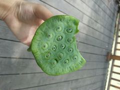 -微山湖红荷湿地景区