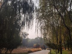 -北坞公园