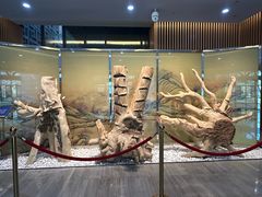 -香市公园-中国沉香文化博物馆