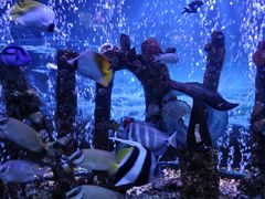 -太平洋海底世界