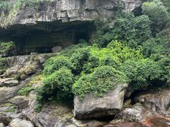 -庐山碧龙潭风景区