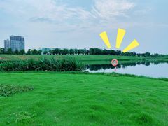 -洋湖国家湿地公园
