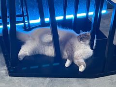 -零纪元VR体验馆·桌游(黄浦店)