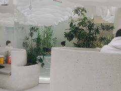 -大树餐厅(朝阳大悦城店)