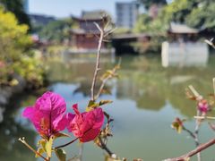 -乌山风景区