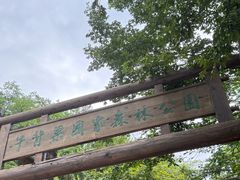 -牛背梁国家森林公园